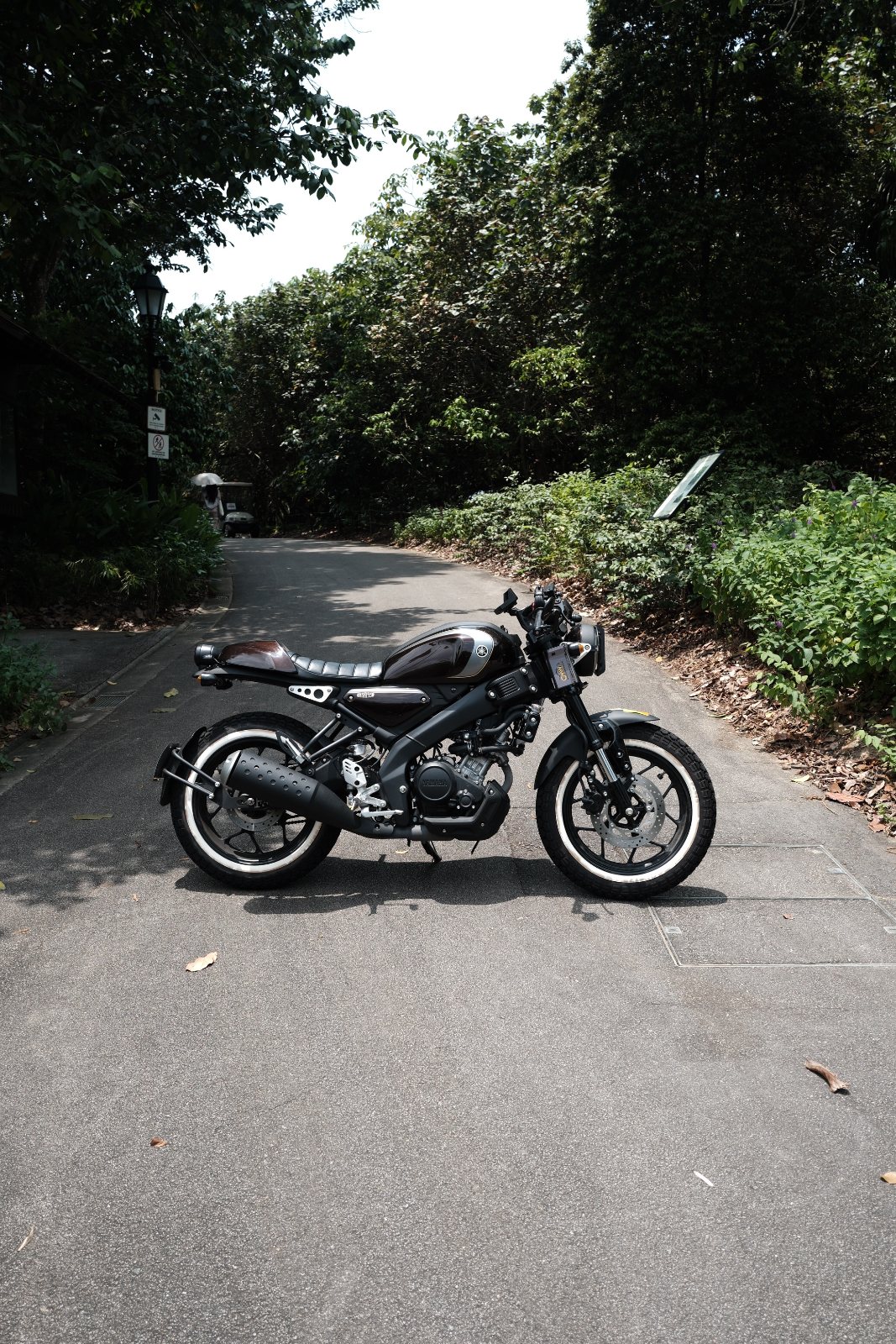 The Speedster — Yamaha XSR155 café racer, side profile