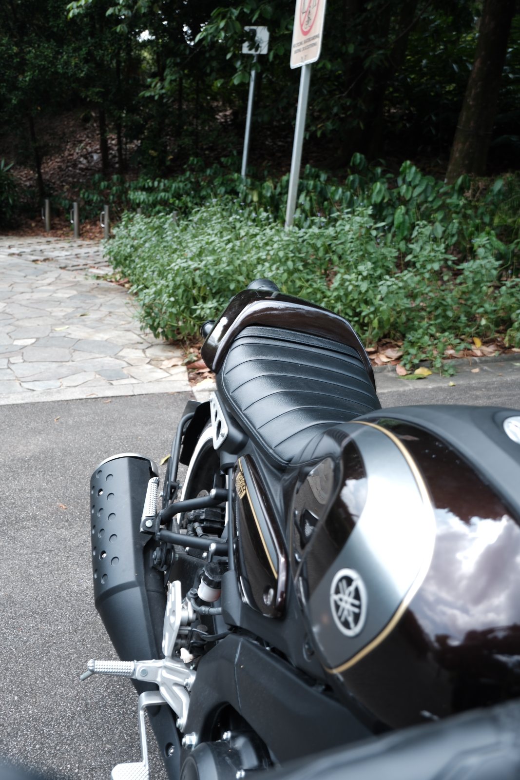 Rider view over the tank
