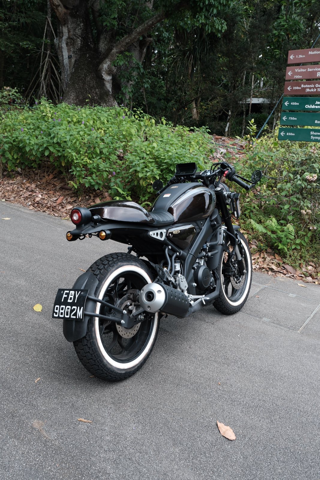 Rear three-quarter, plate on the hugger