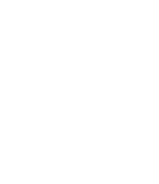 Two Wheel Project